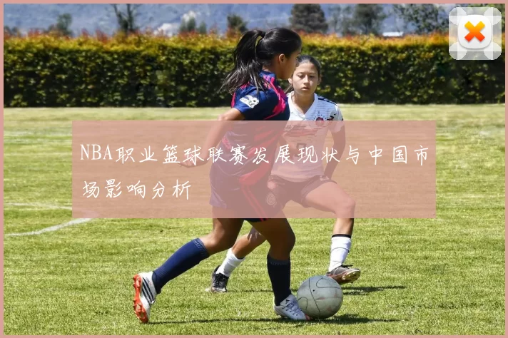 NBA职业篮球联赛发展现状与中国市场影响分析
