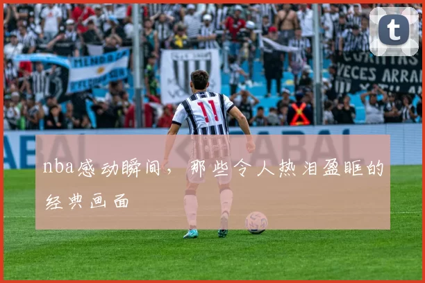 nba感动瞬间,那些令人热泪盈眶的经典画面
