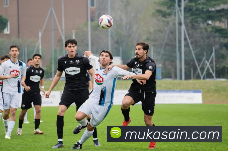 milan米兰app官网入口APP 封面图